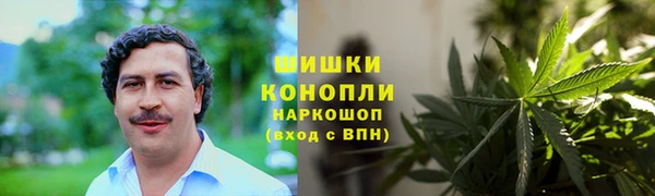 дживик Михайловск