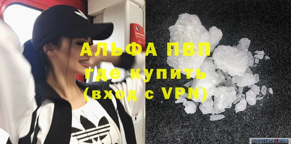 дживик Мегион