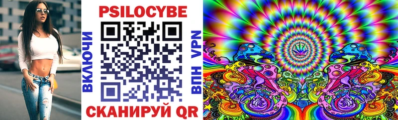 Псилоцибиновые грибы Cubensis  Купить  Чапаевск